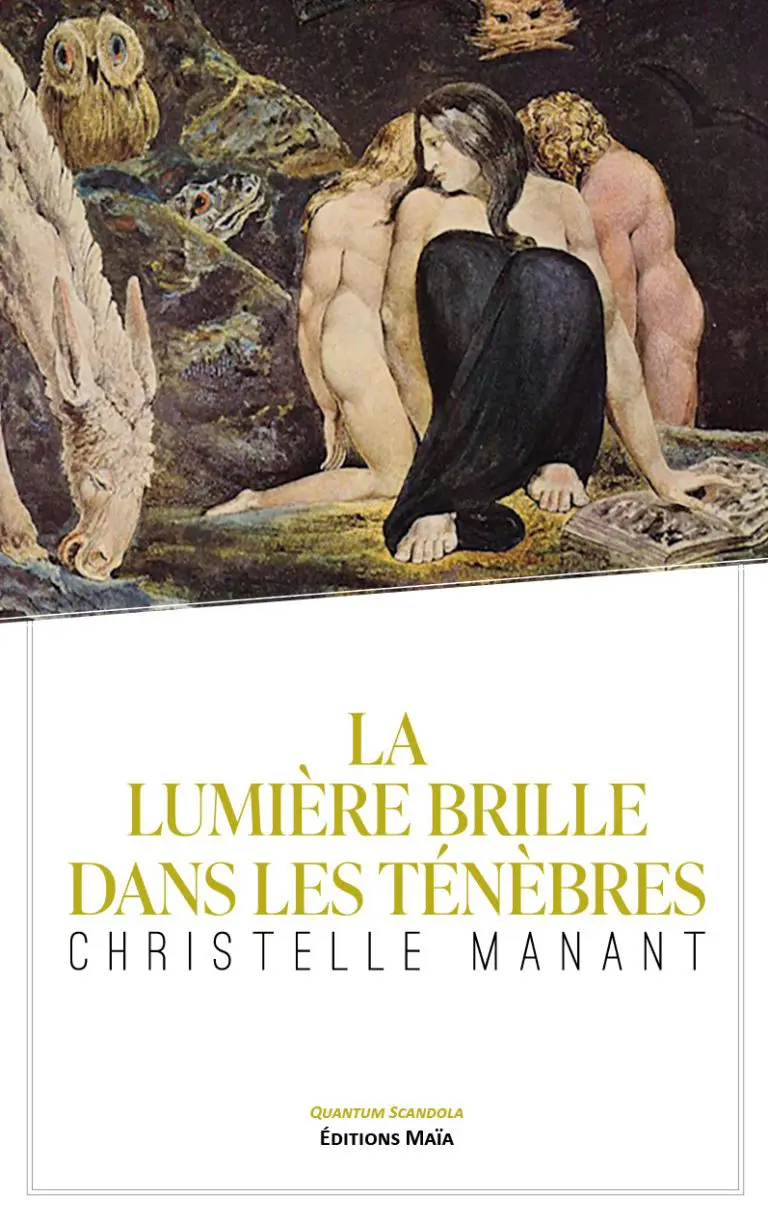 La lumiere brille dans les tenebres Manant Christelle