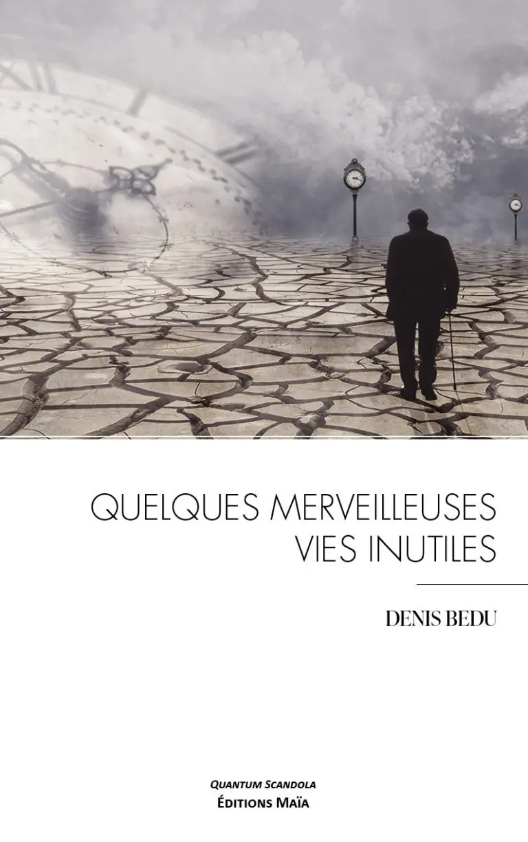 Quelques merveilleuses vies inutiles Denis Bedu