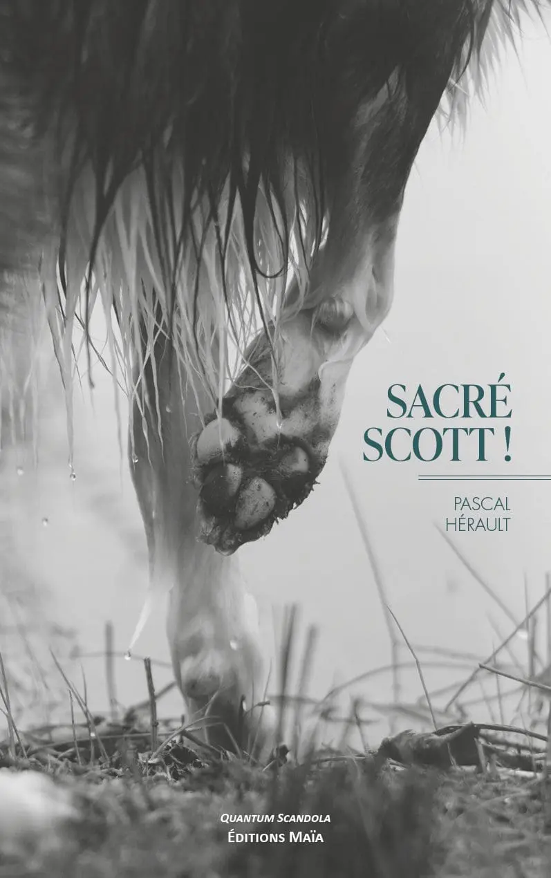Entretien avec Pascal Hérault – Sacré Scott !
