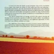 Les Paradoxes Français