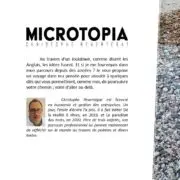 MICROTOPIA
