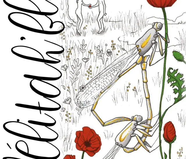 Texte inédit de Quentin Lhermès