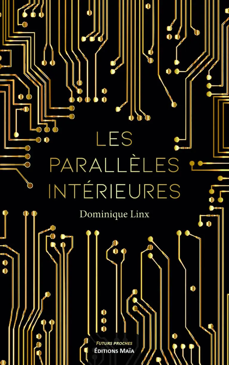 Les paralleles interieures Dominique Linx