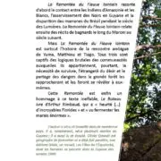 La Remontée du Fleuve lointain