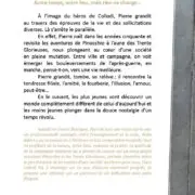 Collodi 50