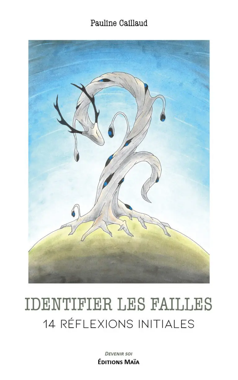Identifier les failles Pauline Caillaud