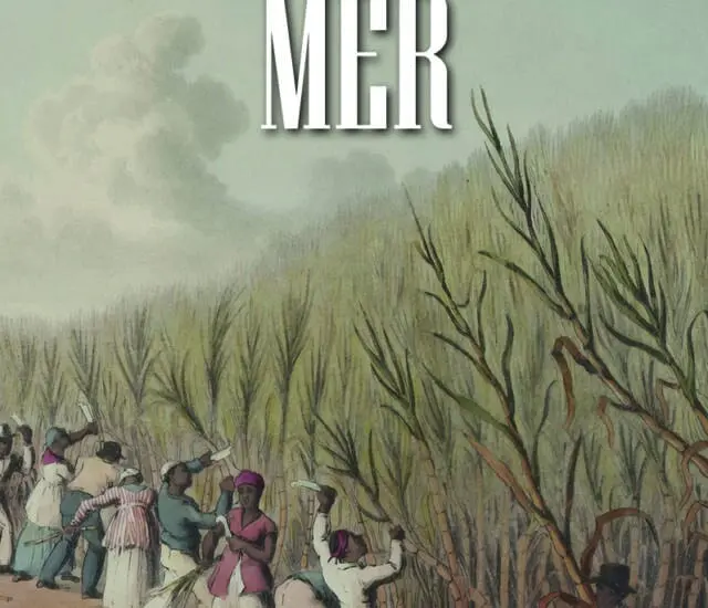 Entretien avec Marie-Audrey Simoneau – Terre Mer