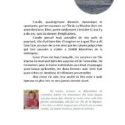 Le manège de la vie