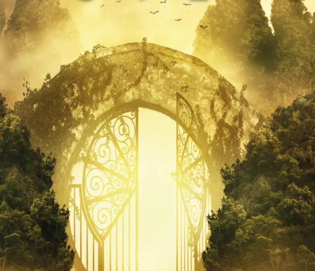 Entretien avec Déborah Brice – Asylis