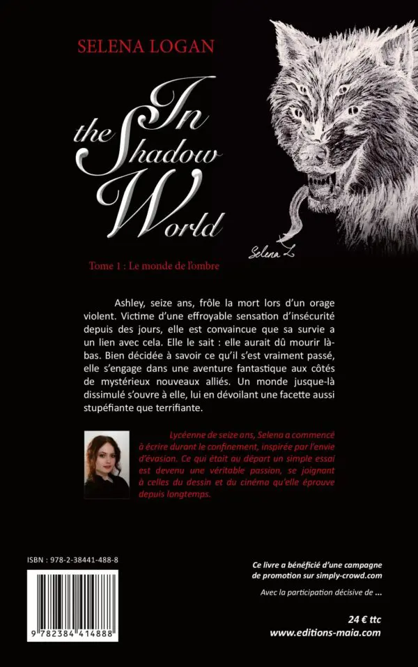 In The Shadow World