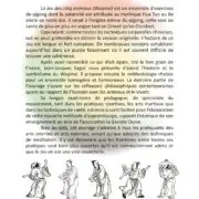 Qi Gong : Le Jeu des Cinq Animaux