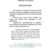 Norrsken : Initiation à la mythologie nordique et aux runes