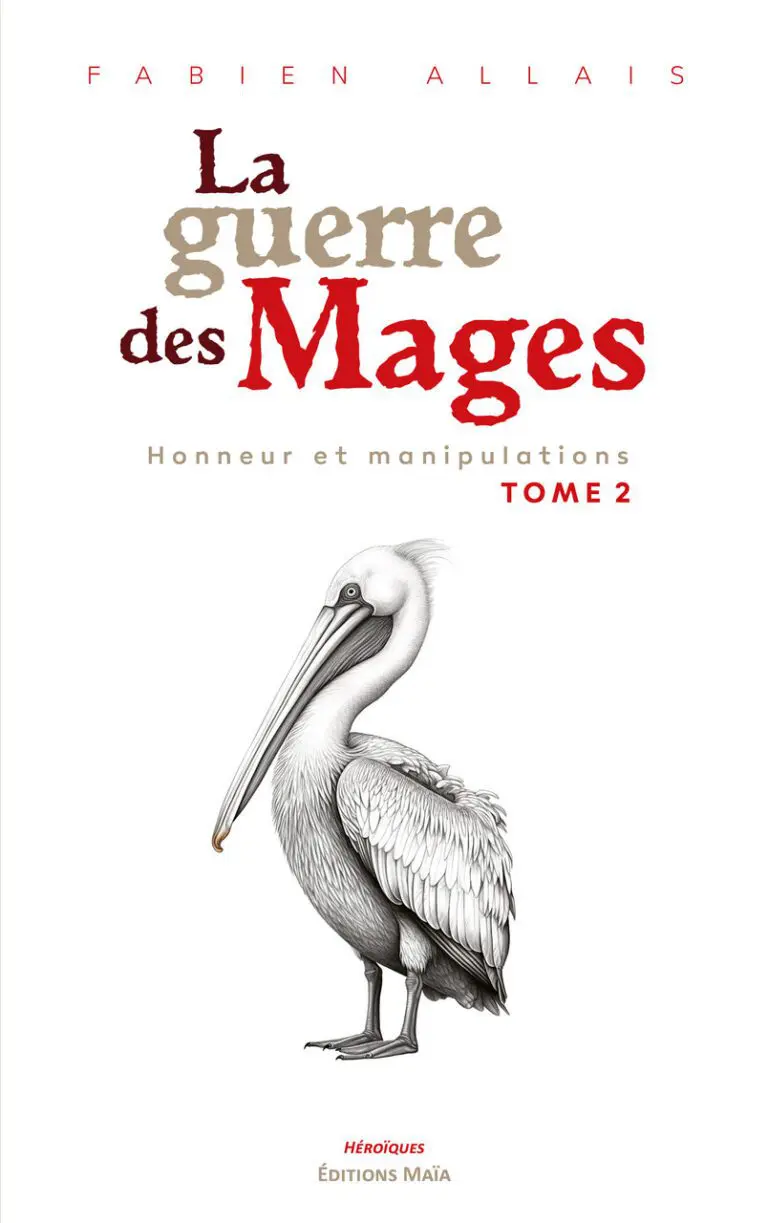 Fabien Allais - La guerre des mages