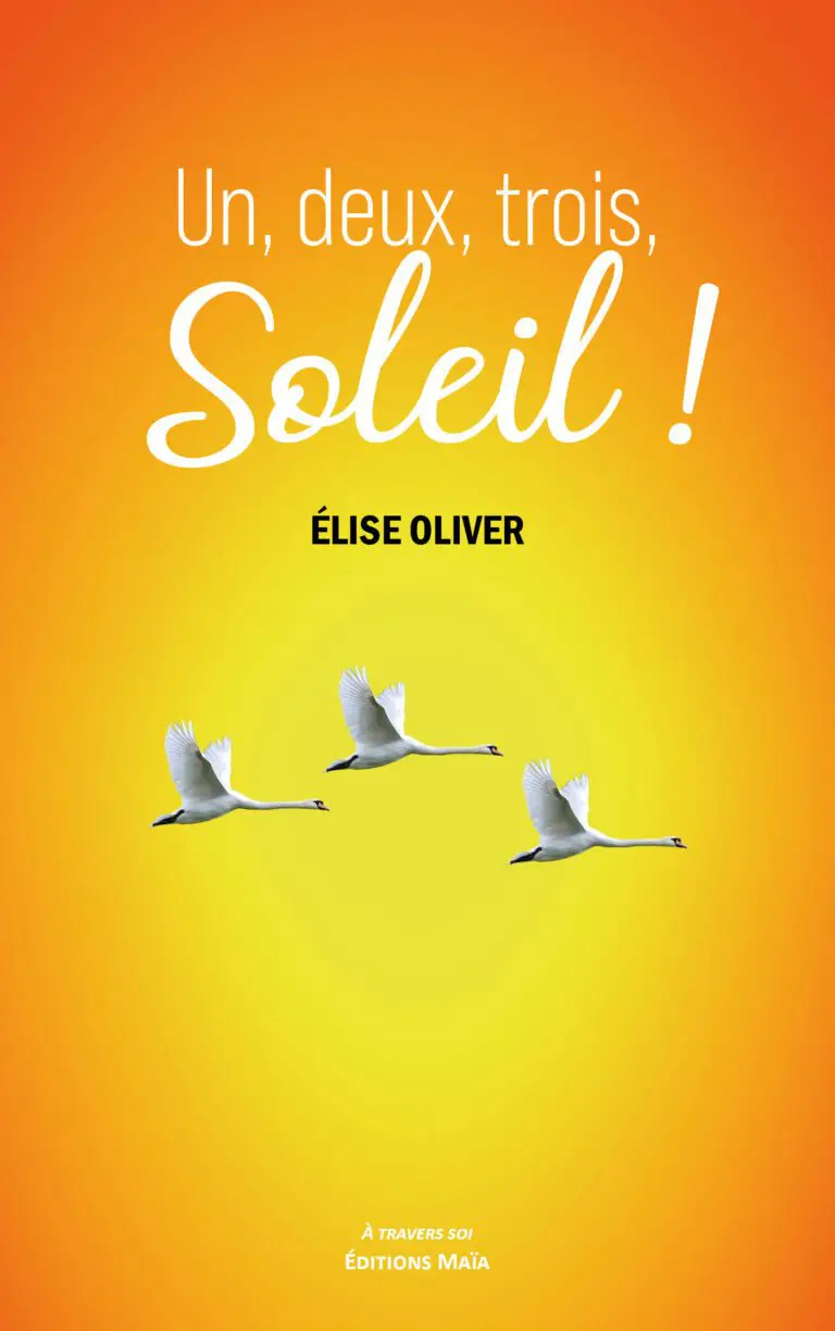 COUVERTURE HORVILLER CATHERINE - UN DEUX TROIS SOLEIL - RECTO
