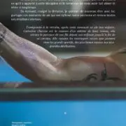 Trois petits JO et puis s’en va… Un champion dans les yeux de sa mère