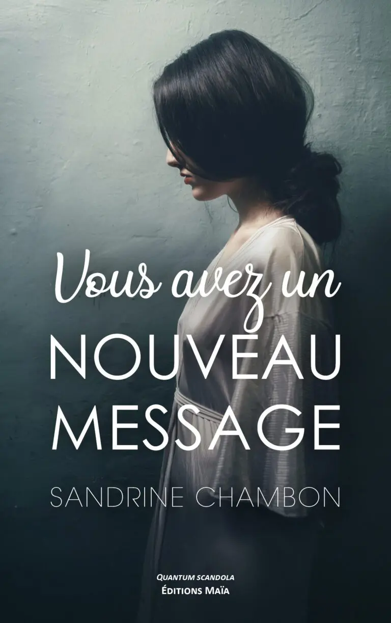 COUVERTURE CHAMBON SANDRINE - VOUS AVEZ UN NOUVEAU MESSAGE - RECTO