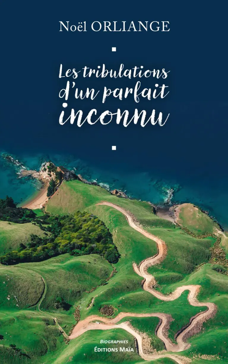 Noël ORLIANGE - Les tribulations d’un parfait inconnu