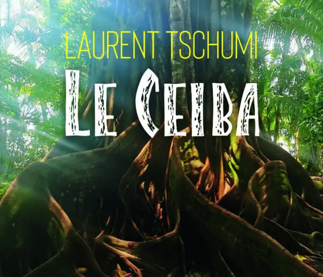 Texte inédit de Laurent Tschumi