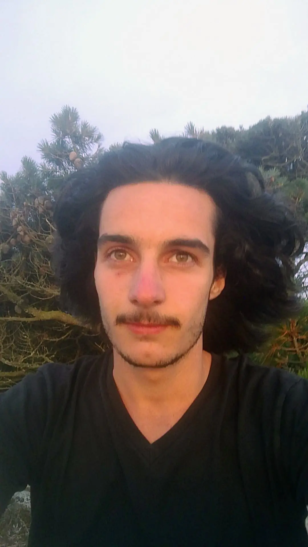 Creator