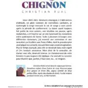 La dame au chignon
