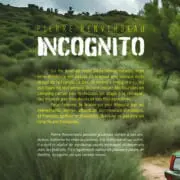 Incognito