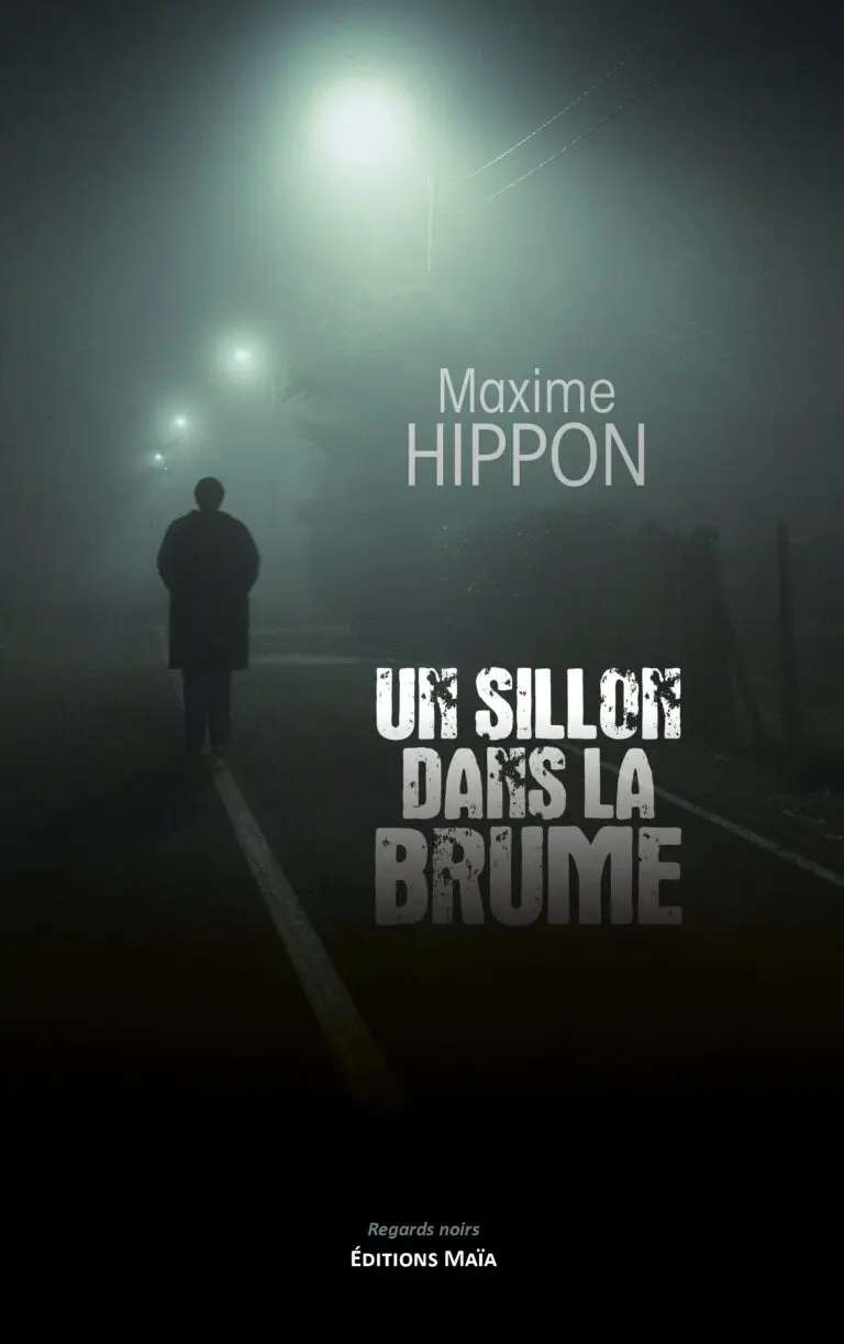Maxime HIPPON - Un sillon dans la brume