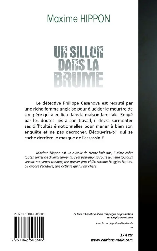 Un sillon dans la brume
