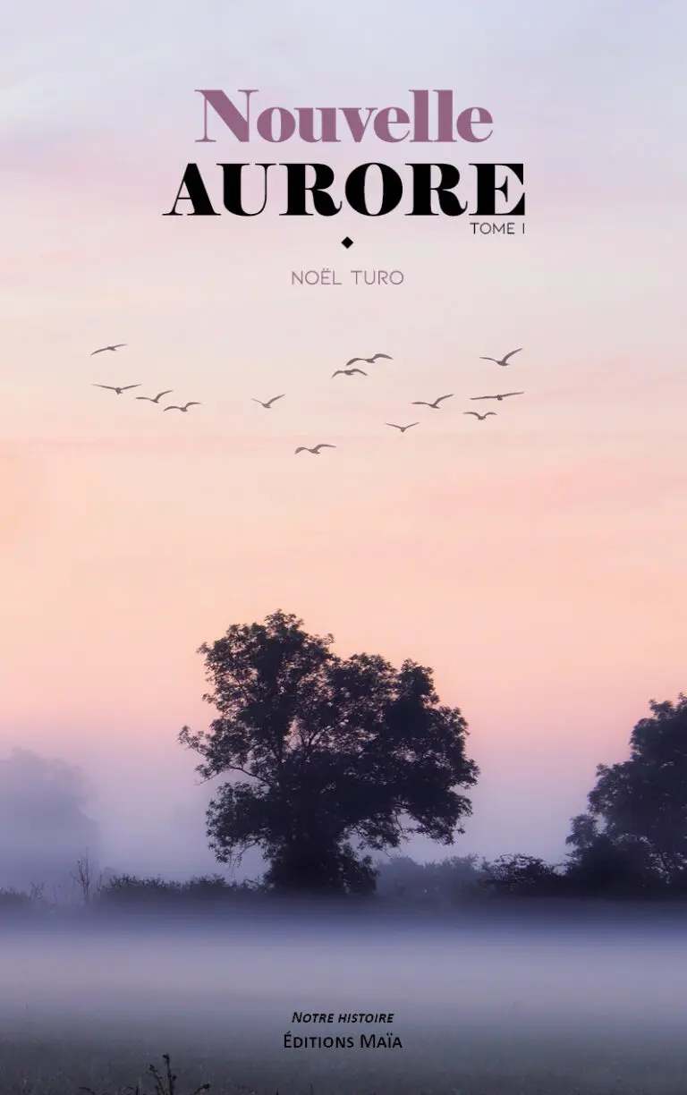 Nouvelle aurore Noel Turo