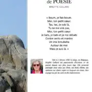 Poésies au gré du vent