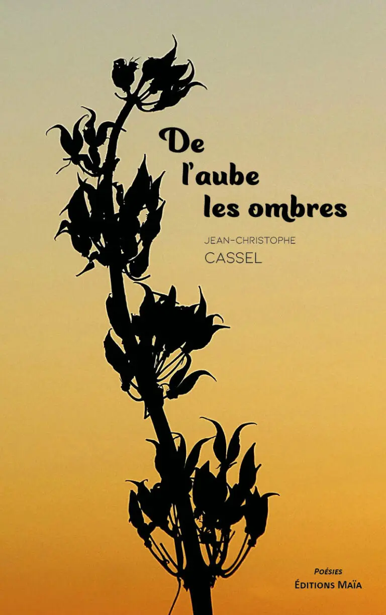 De l'ombre a l'aube Jean-Christophe Cassel