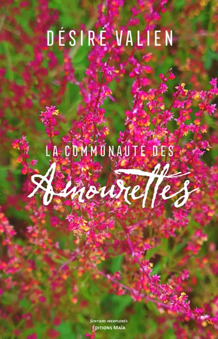 Désiré VALIEN - La Communauté des Amourettes