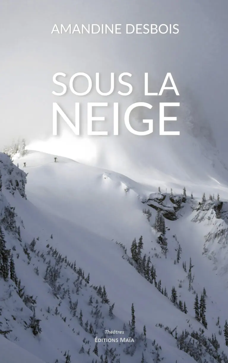 Amandine DESBOIS - Sous la neige