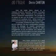 Les Lumières Cendrées De l'Aube