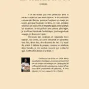 Les couleurs de la nuit