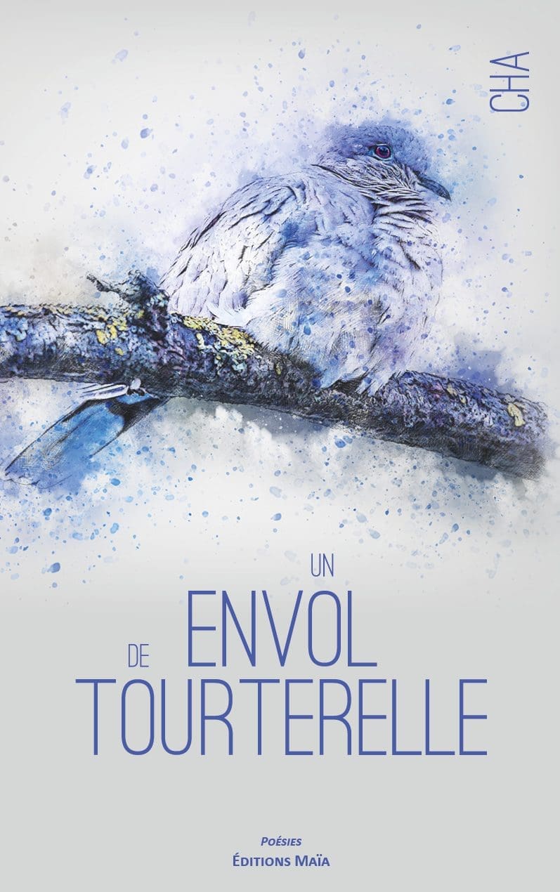 Entretien avec Cha – Un envol de tourterelle