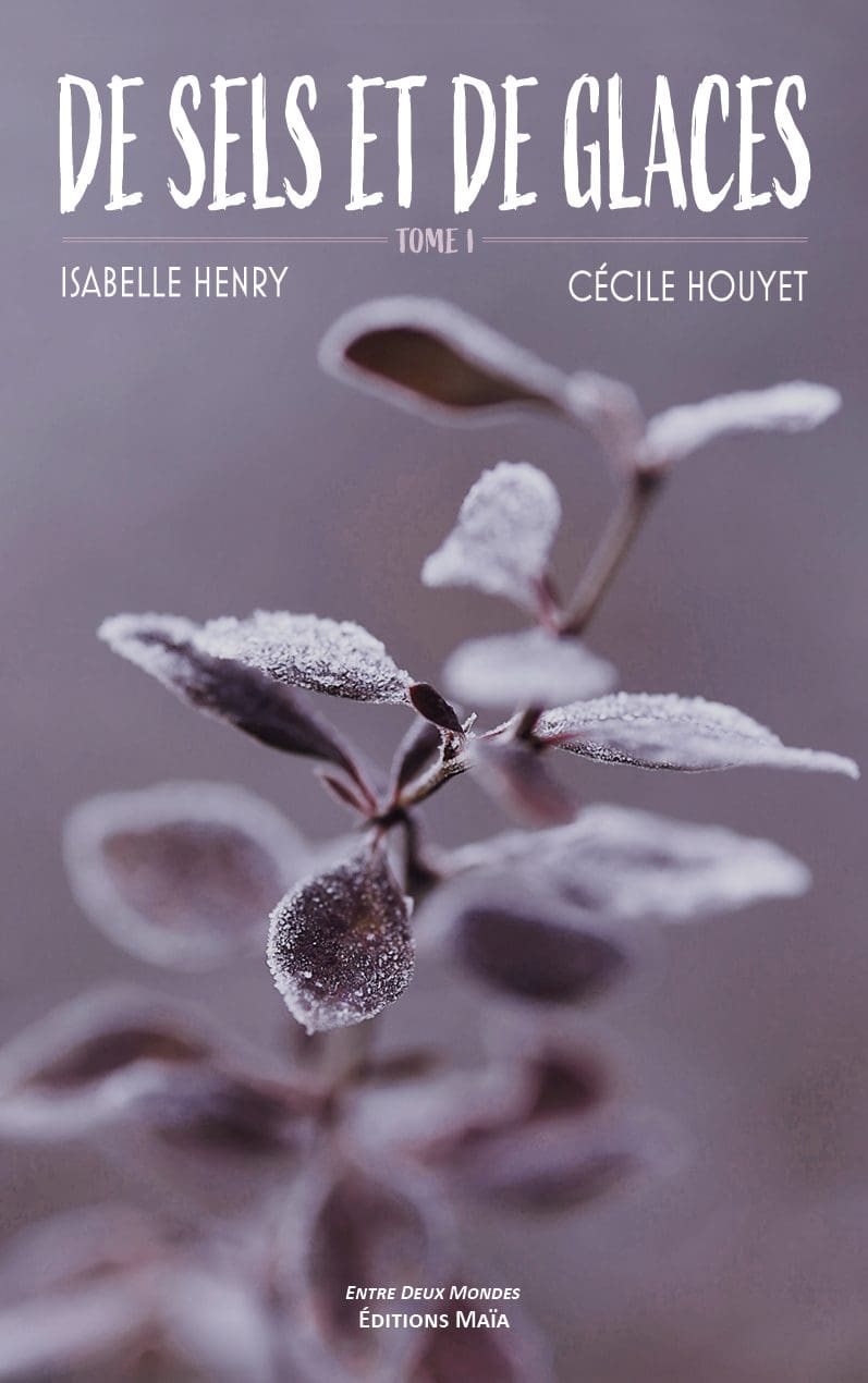 Entretien avec Isabelle Henry et Cécile Houyet – De sels et de glaces