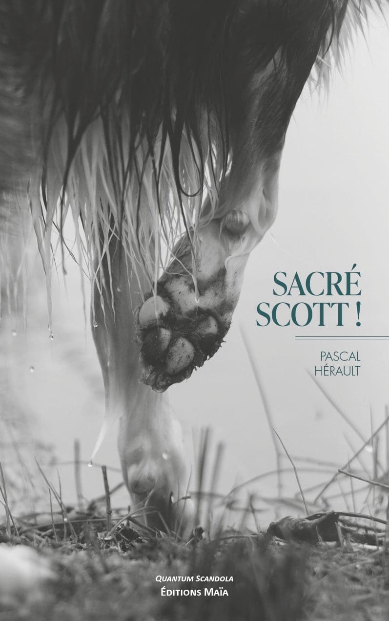 Entretien avec Pascal Hérault – Sacré Scott !