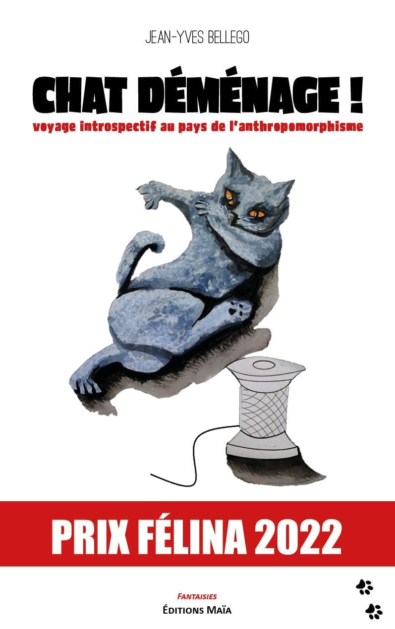 Entretien avec Jean-Yves Bellego – Chat déménage