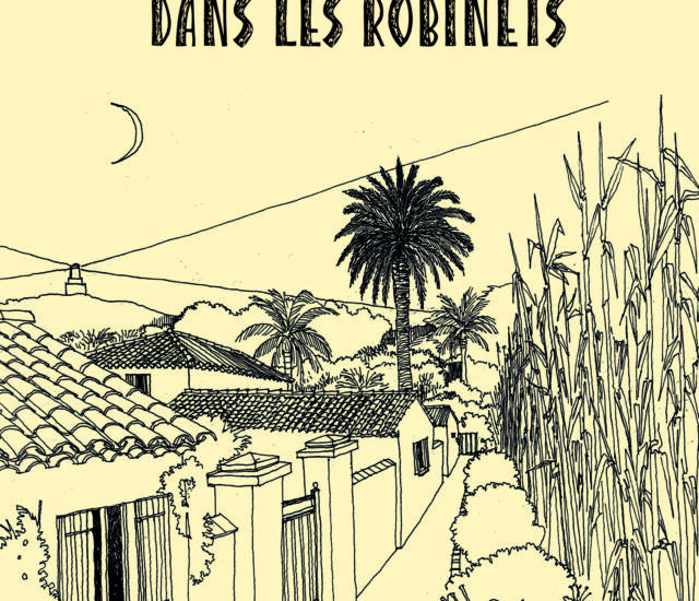 Entretien avec Bruno Cara – De l&rsquo;eau salée dans les robinets