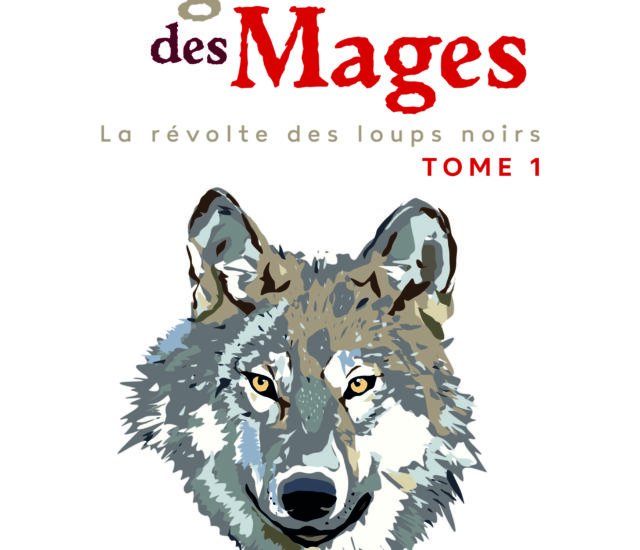 Entretien avec Fabien Allais – La guerre des mages – 1. La révolte des loups noirs