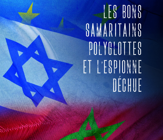 Entretien avec Sébastien Ducatel – Les bons Samaritains polyglottes et l&rsquo;espionne déchue