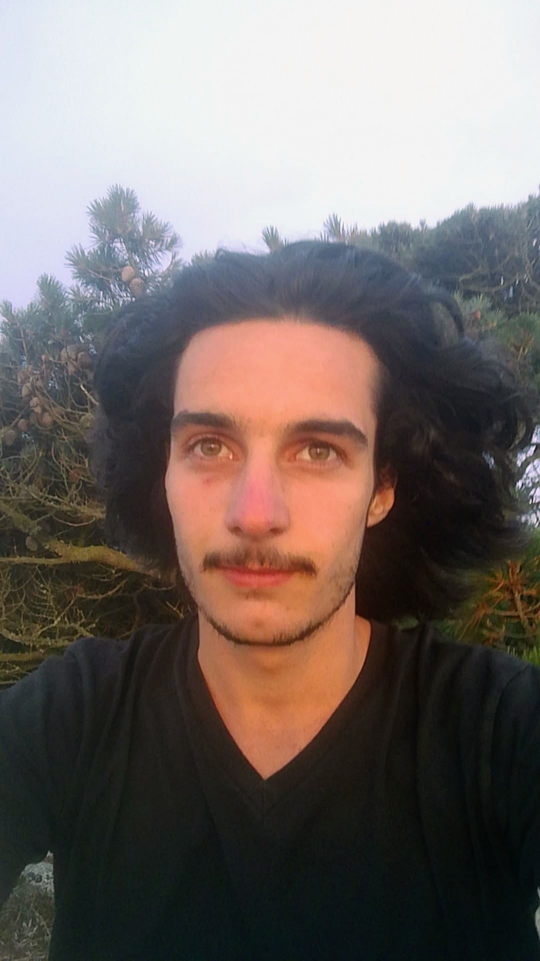 Creator