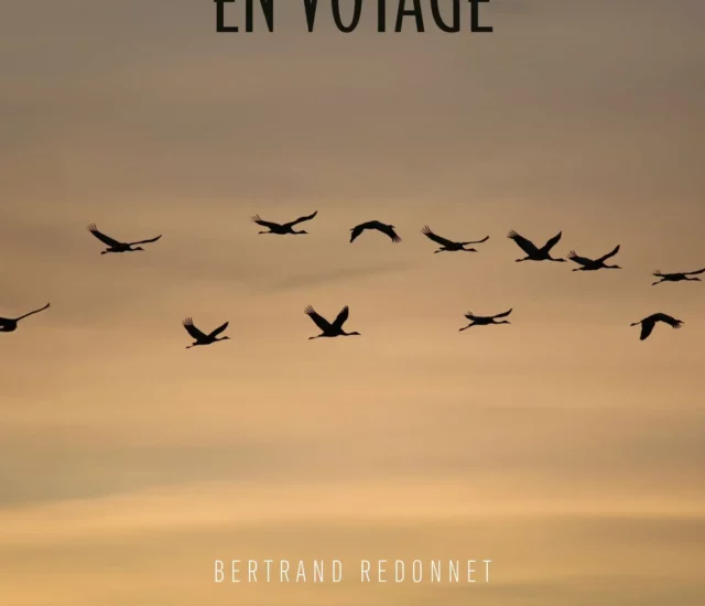Entretien avec Bertrand Redonnet auteur de Bohémiens en voyage