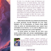 LA QUETE DES CHATS