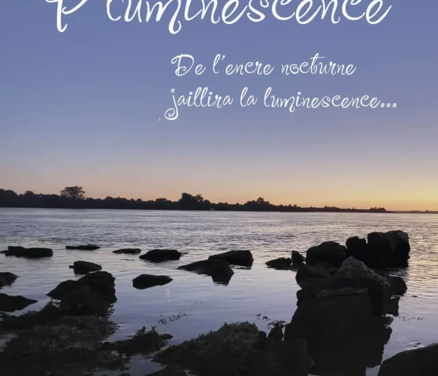 Entretien avec Virginie RR auteure de P’luminescence