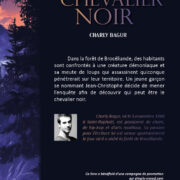 Le secret du chevalier noir