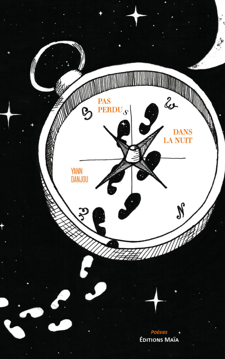 Pas perdus dans la nuit Yann Danjou