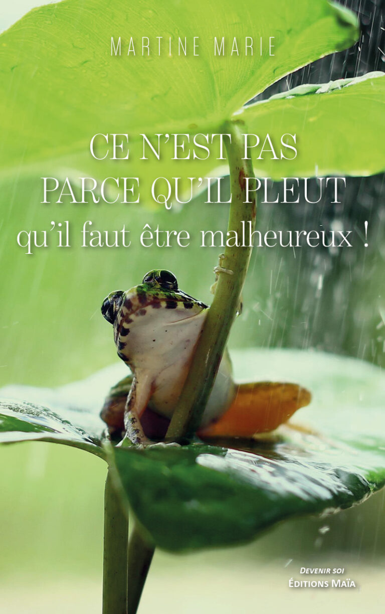 Ce n'est pas parce qu'il pleut qu'il faut etre malheureux Martine Marie