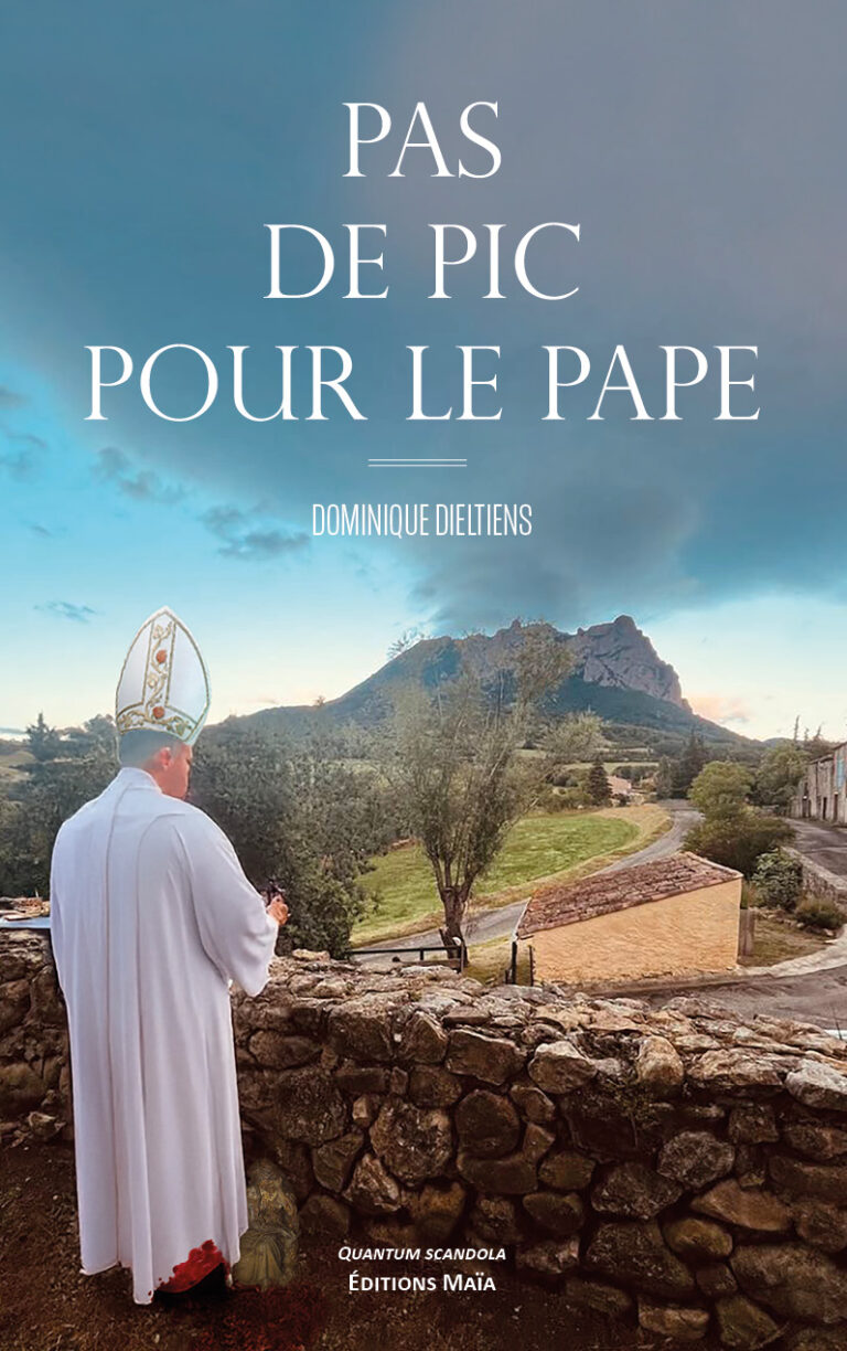 Pas de pic pour le pape Dominique Dieltiens
