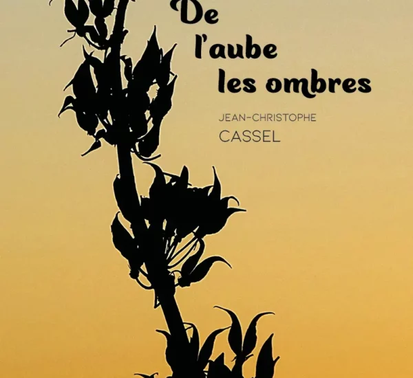 Entretien avec Jean-Christophe Cassel auteur De l’aube les ombres